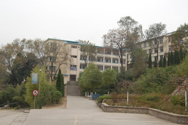 学校风光