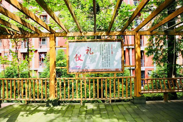 学校风光