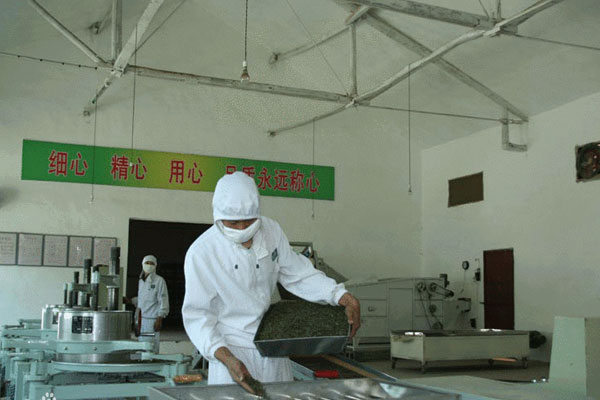 1黔南民族职业技术学院茶叶生产与加工专业