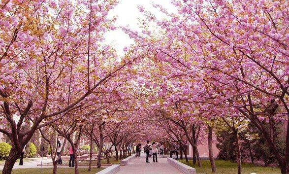 重庆市医药学校寝室环境怎么样?