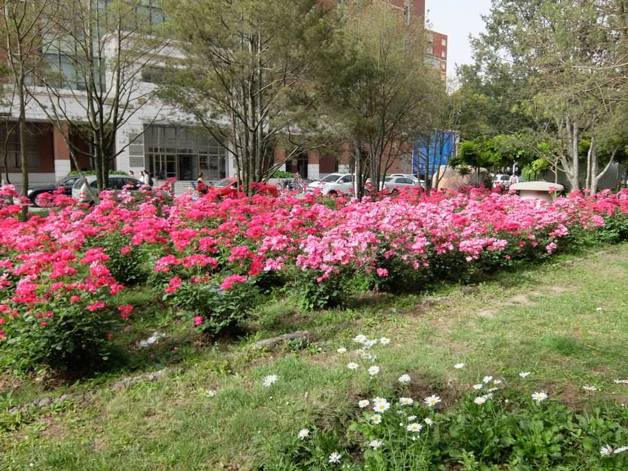 重庆市医药学校寝室环境怎么样?