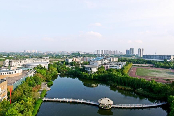 成都什么学校学幼师好