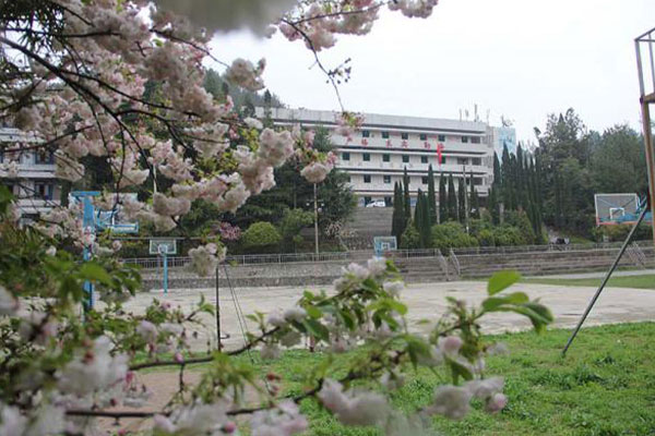 贵州贵阳中山科技学校毕业生部分就业单位