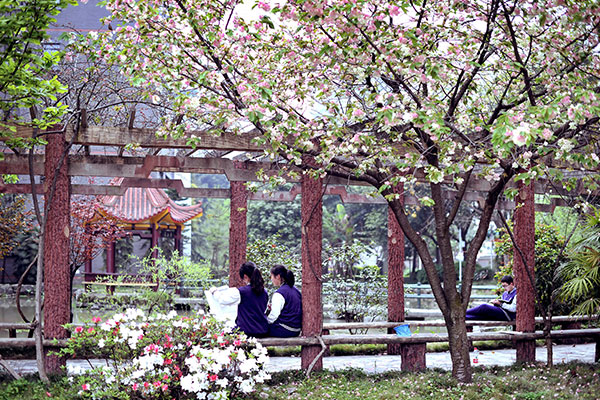 2021年四川师范大学幼师学院报名条件