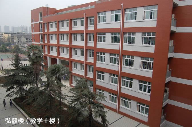 北京师范大学成都实验中学初中艺体特长生招生简章