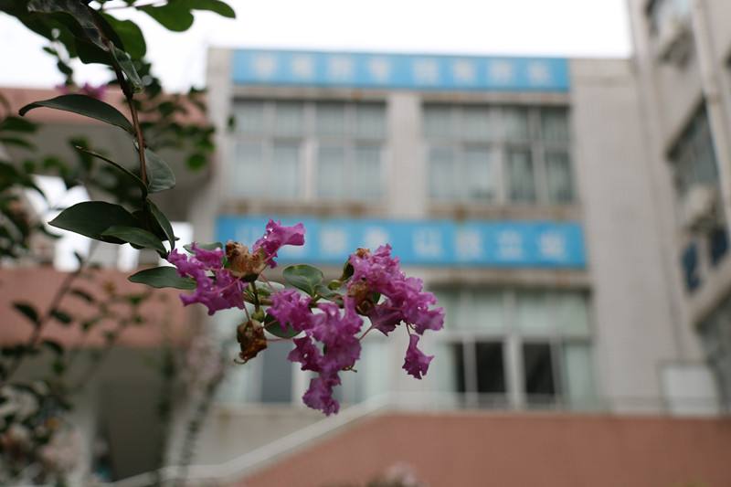 重庆市医药学校校园环境如何