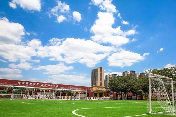 成都小学教育学校在哪